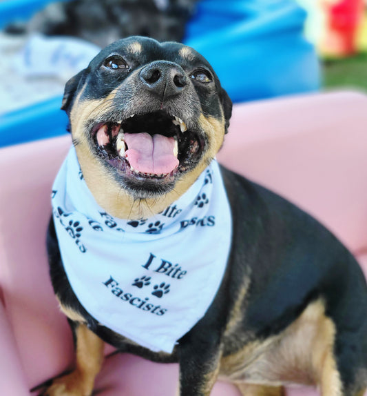 Protest Pets Gift Card