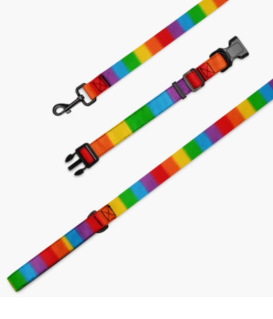 Pride Pet collar & leash