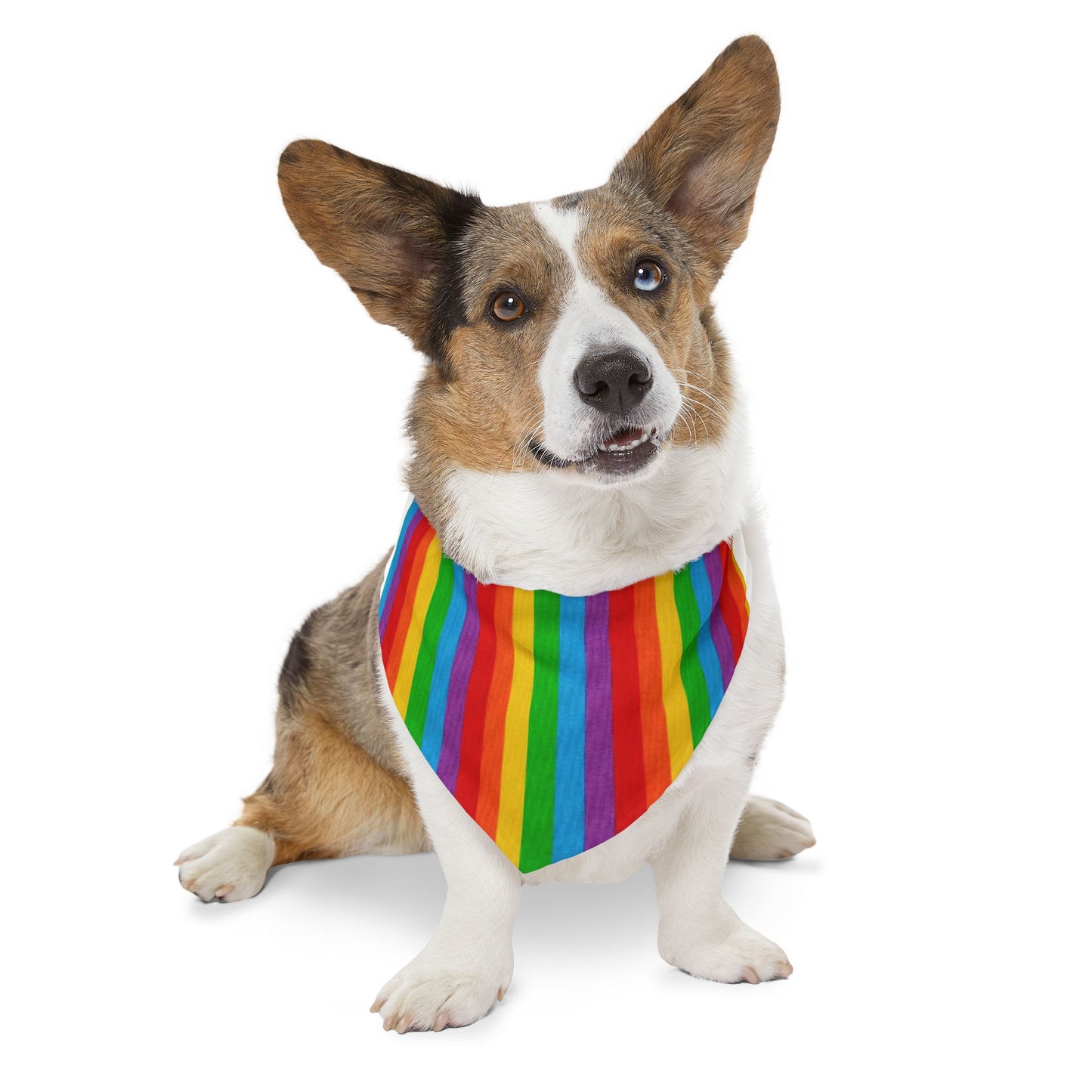 Pride Bandana and Collar