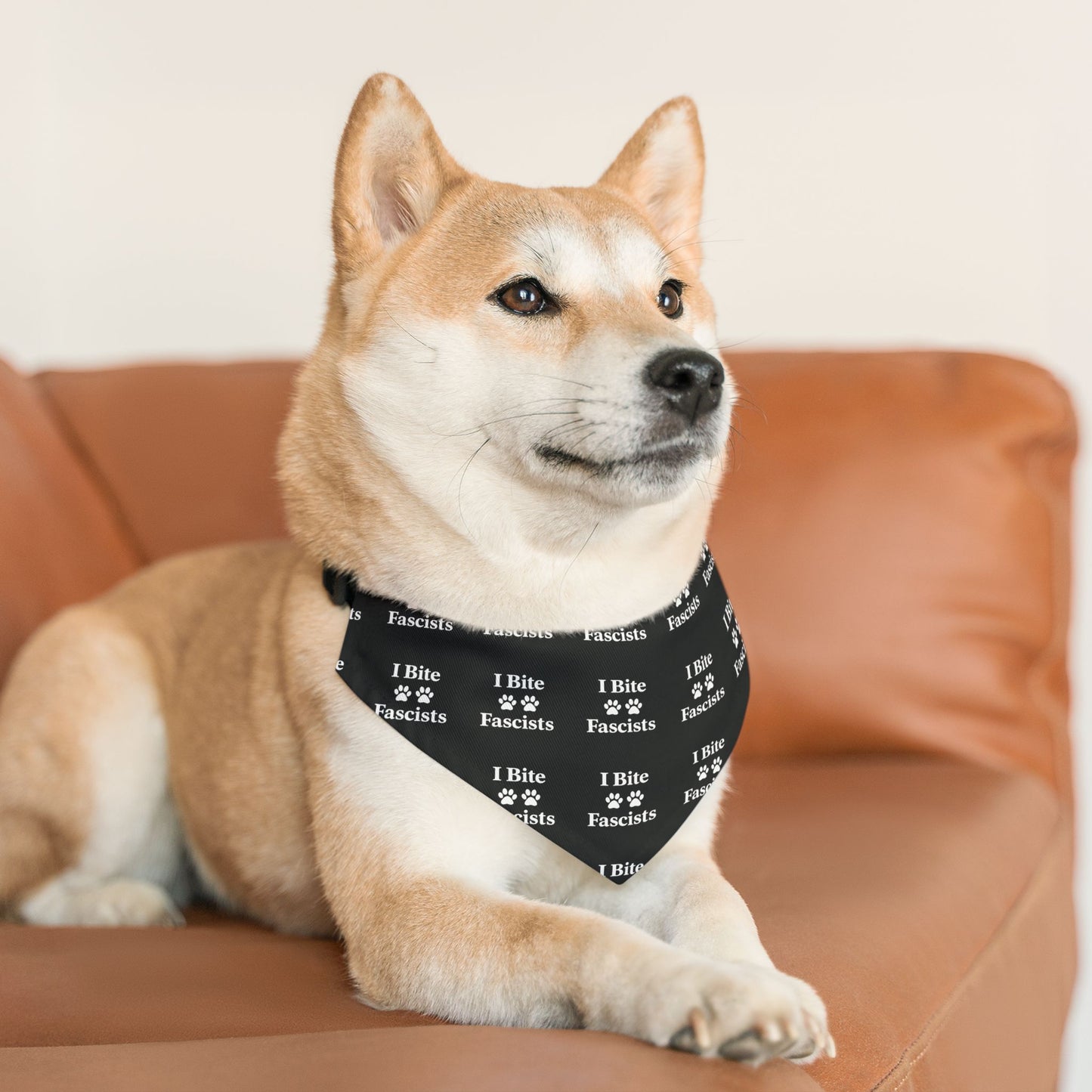 I Bite Fascists Black Dog Bandana and Collar