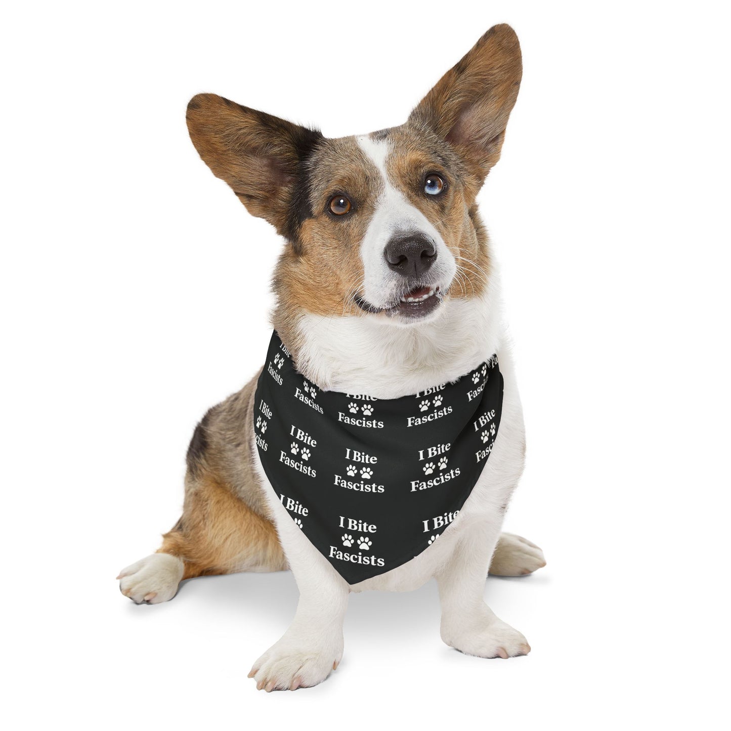 I Bite Fascists Black Dog Bandana and Collar