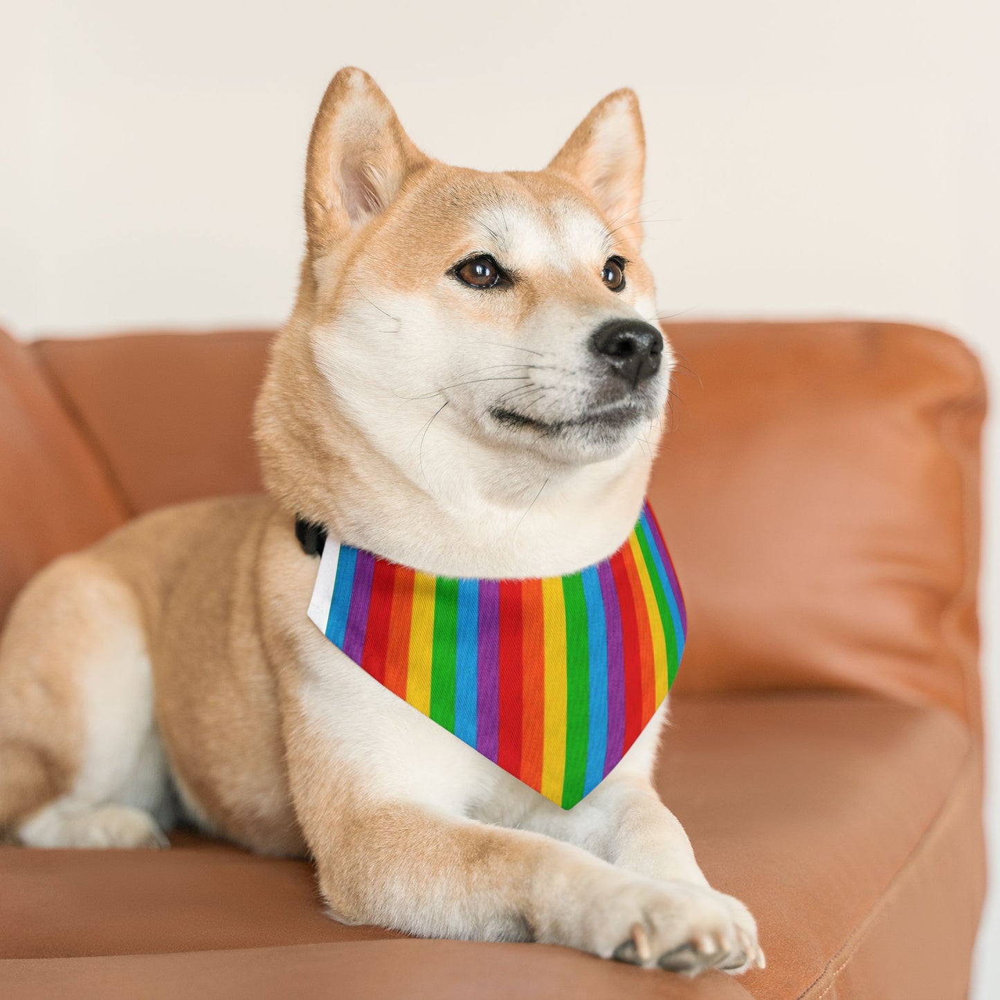 Pride Bandana and Collar