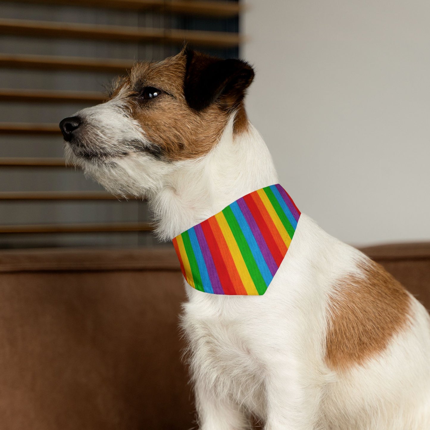Pride Bandana and Collar