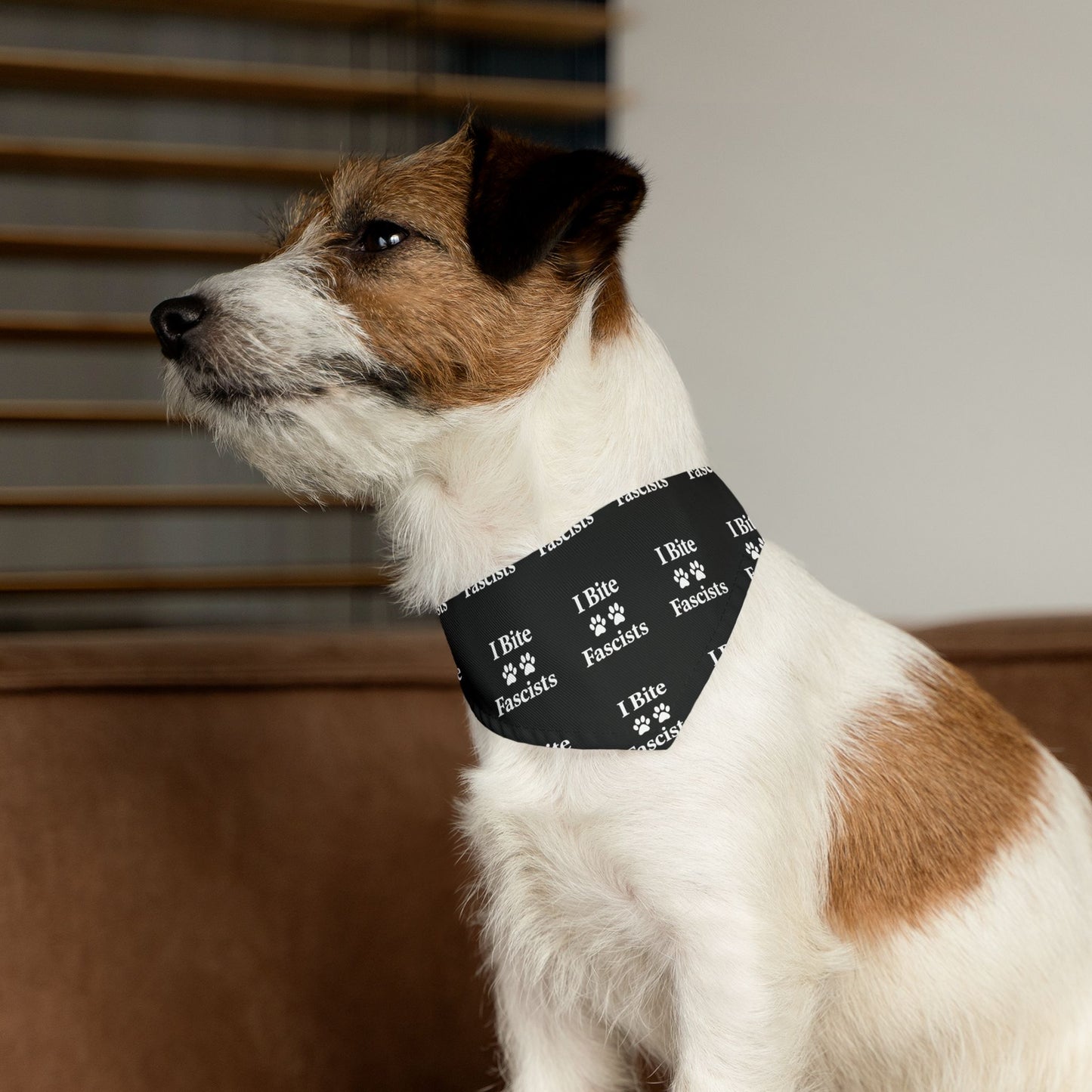 I Bite Fascists Black Dog Bandana and Collar